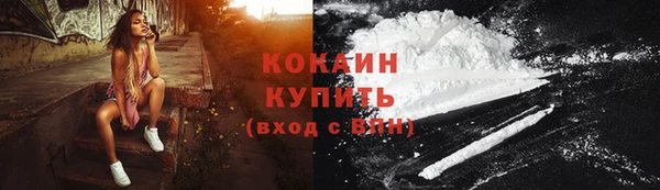 шишки Михайлов
