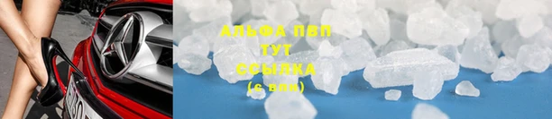 шишки Михайлов