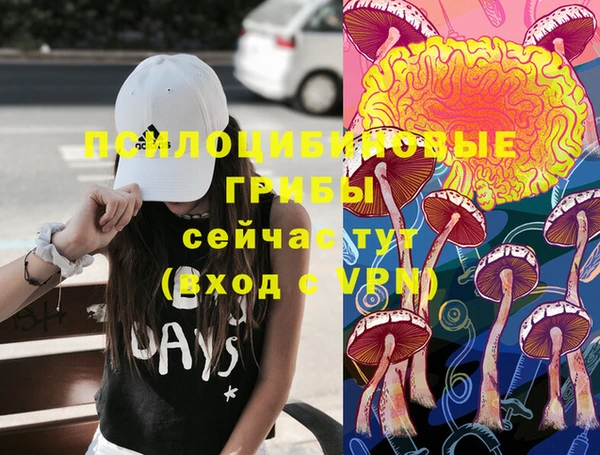 гидропоника Михайловка