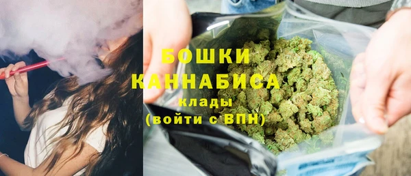 шишки Михайлов