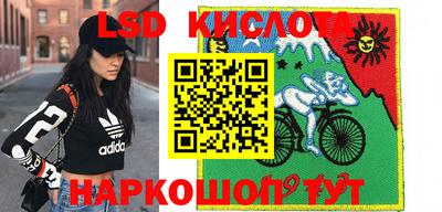 прущие грибы Первоуральск