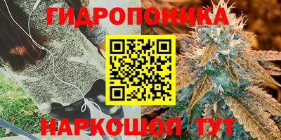прущие грибы Первоуральск