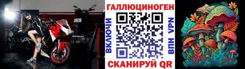 Псилоцибиновые грибы Psilocybine cubensis  купить  сайты  Якутск 