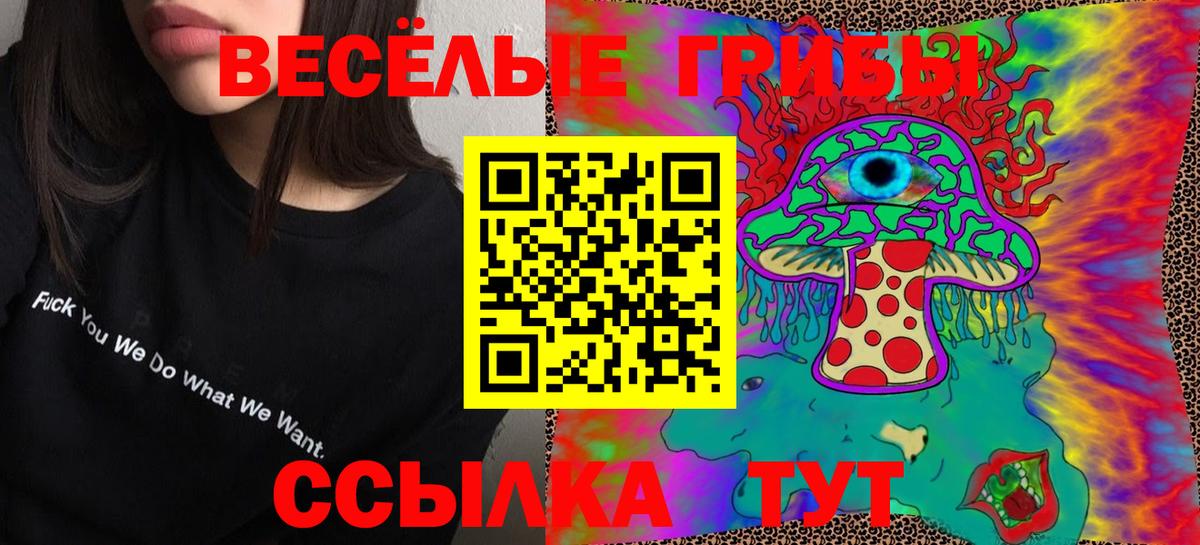 наркота  Псилоцибиновые грибы Psilocybine cubensis  Вход с VPN  Якутск 