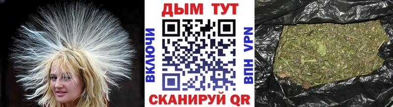 Конопля индика  Якутск 